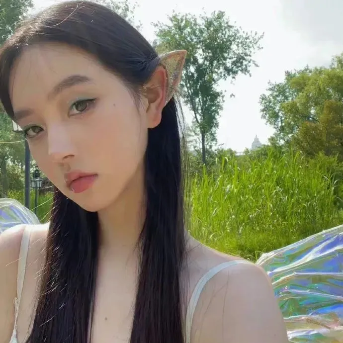 蝴蝶飞飞免费观看,美丽姑娘视频在线观看免费高清版